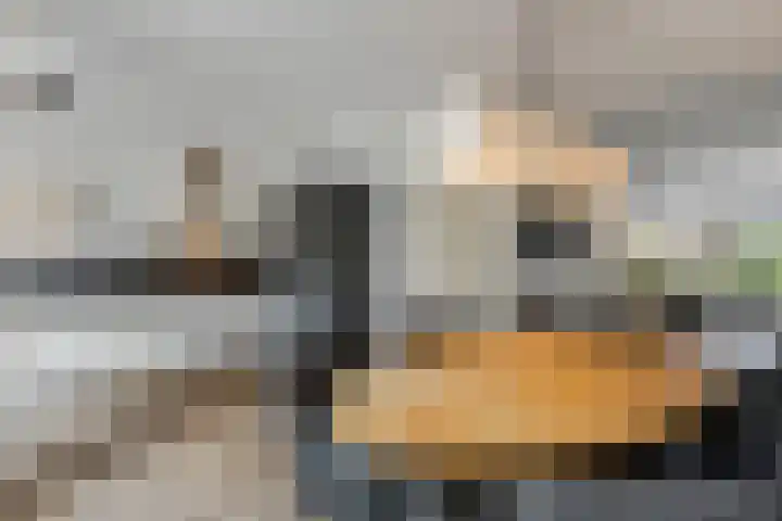 Sestertiusstraat 6 Tiel thumbnail 14