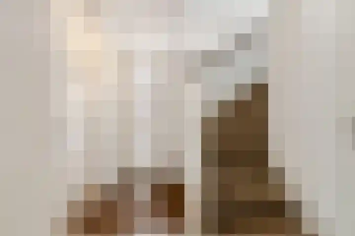 Sestertiusstraat 6 Tiel thumbnail 18
