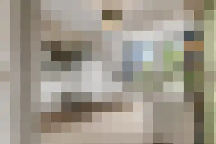 Sestertiusstraat 6 Tiel thumbnail 20