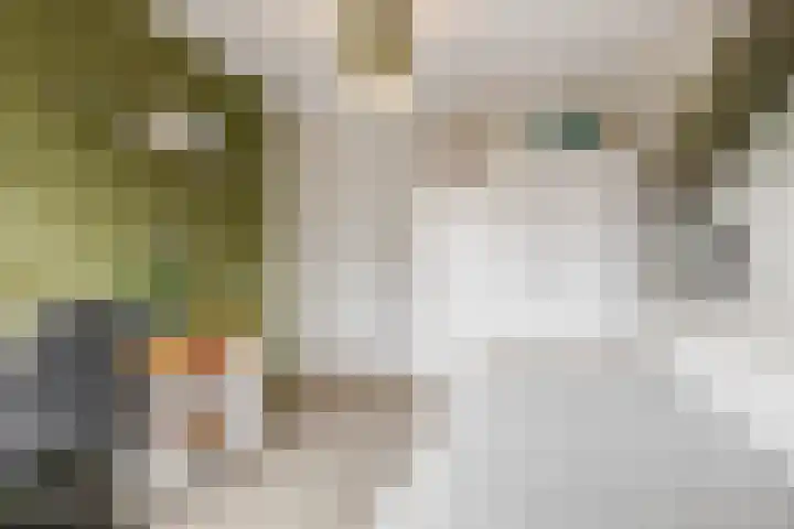 Sestertiusstraat 6 Tiel thumbnail 21