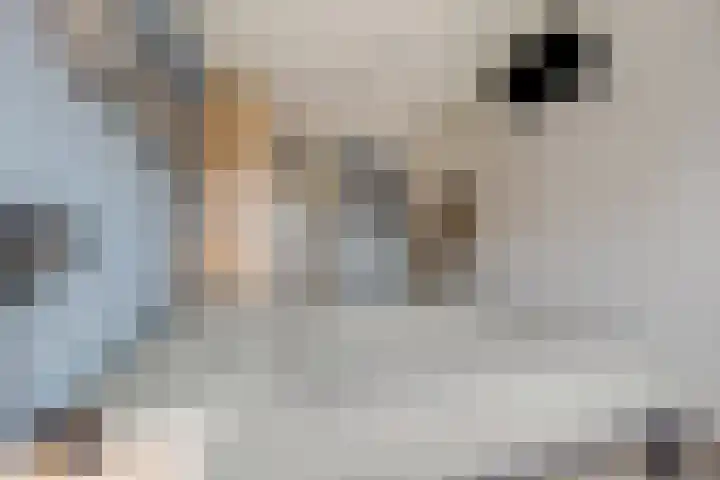 Sestertiusstraat 6 Tiel thumbnail 23