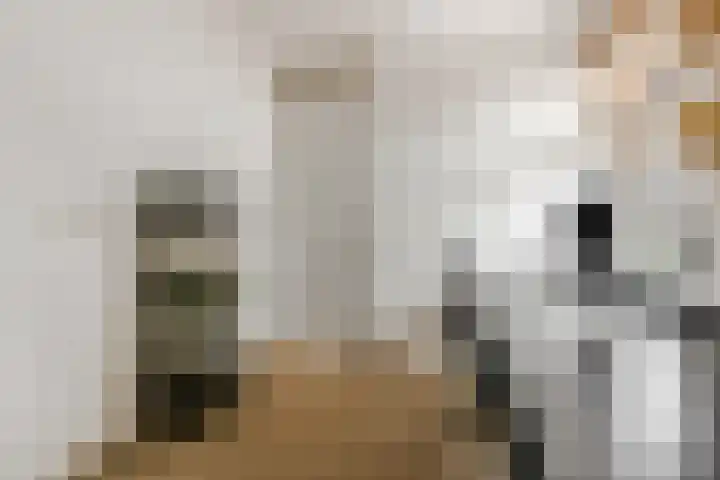 Sestertiusstraat 6 Tiel thumbnail 25