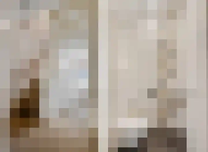 Sestertiusstraat 6 Tiel thumbnail 30