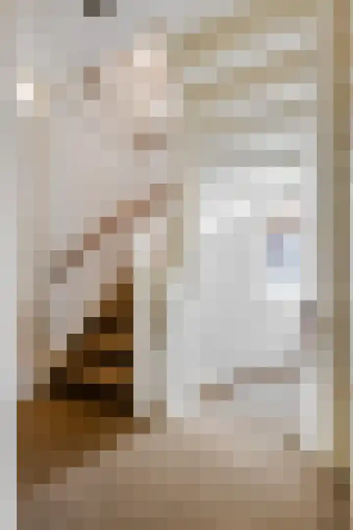 Sestertiusstraat 6 Tiel thumbnail 31