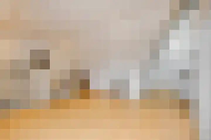 Sestertiusstraat 6 Tiel thumbnail 34