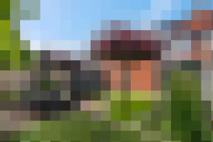 Sestertiusstraat 6 Tiel thumbnail 41