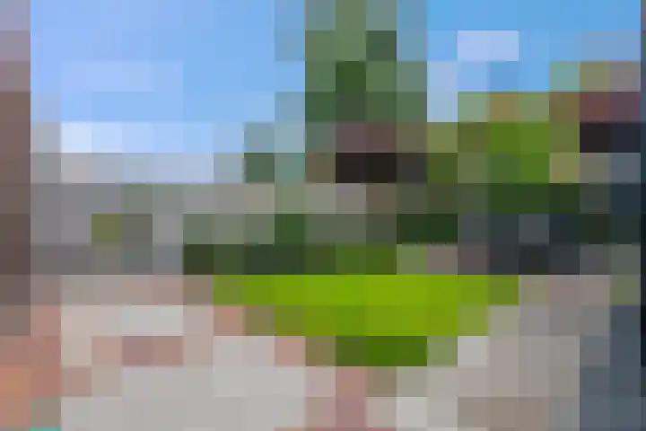 Sestertiusstraat 6 Tiel thumbnail 6