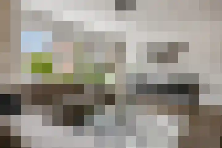 Sestertiusstraat 6 Tiel thumbnail 8