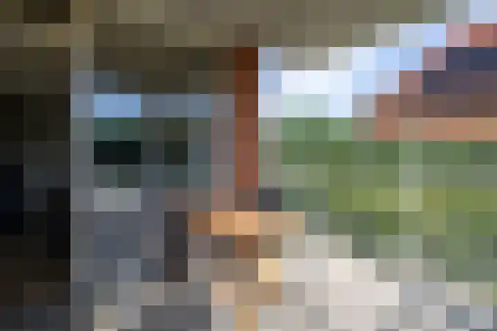 Sestertiusstraat 62 Tiel thumbnail 27