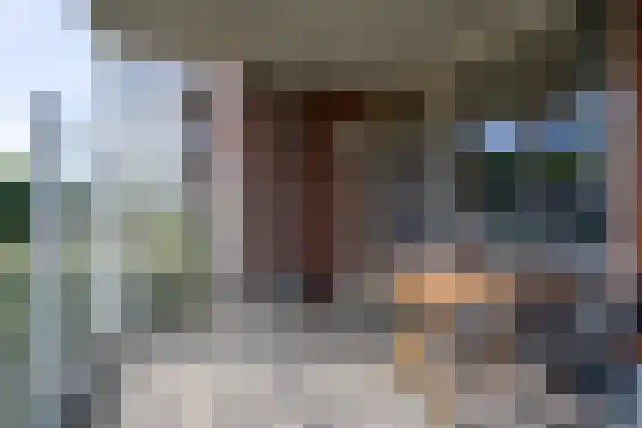 Sestertiusstraat 62 Tiel thumbnail 29