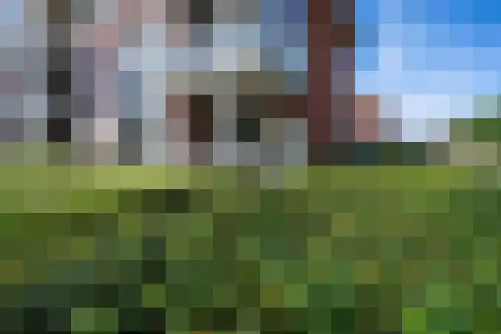 Sestertiusstraat 62 Tiel thumbnail 34