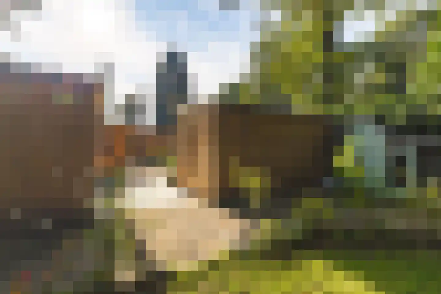 Seterseweg 4 H9 Oosterhout thumbnail 10