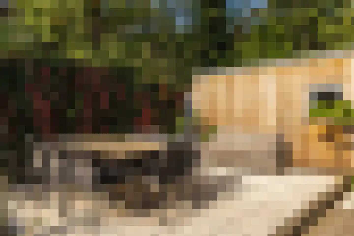 Seterseweg 4 H9 Oosterhout thumbnail 12