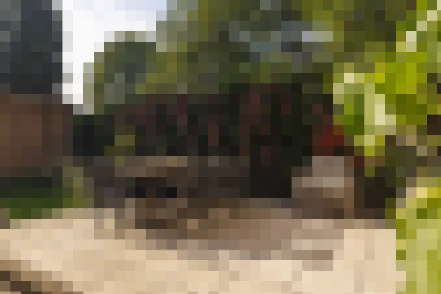 Seterseweg 4 H9 Oosterhout thumbnail 13
