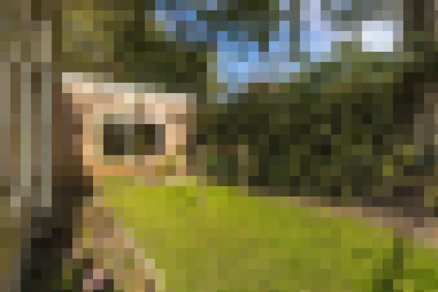Seterseweg 4 H9 Oosterhout thumbnail 14
