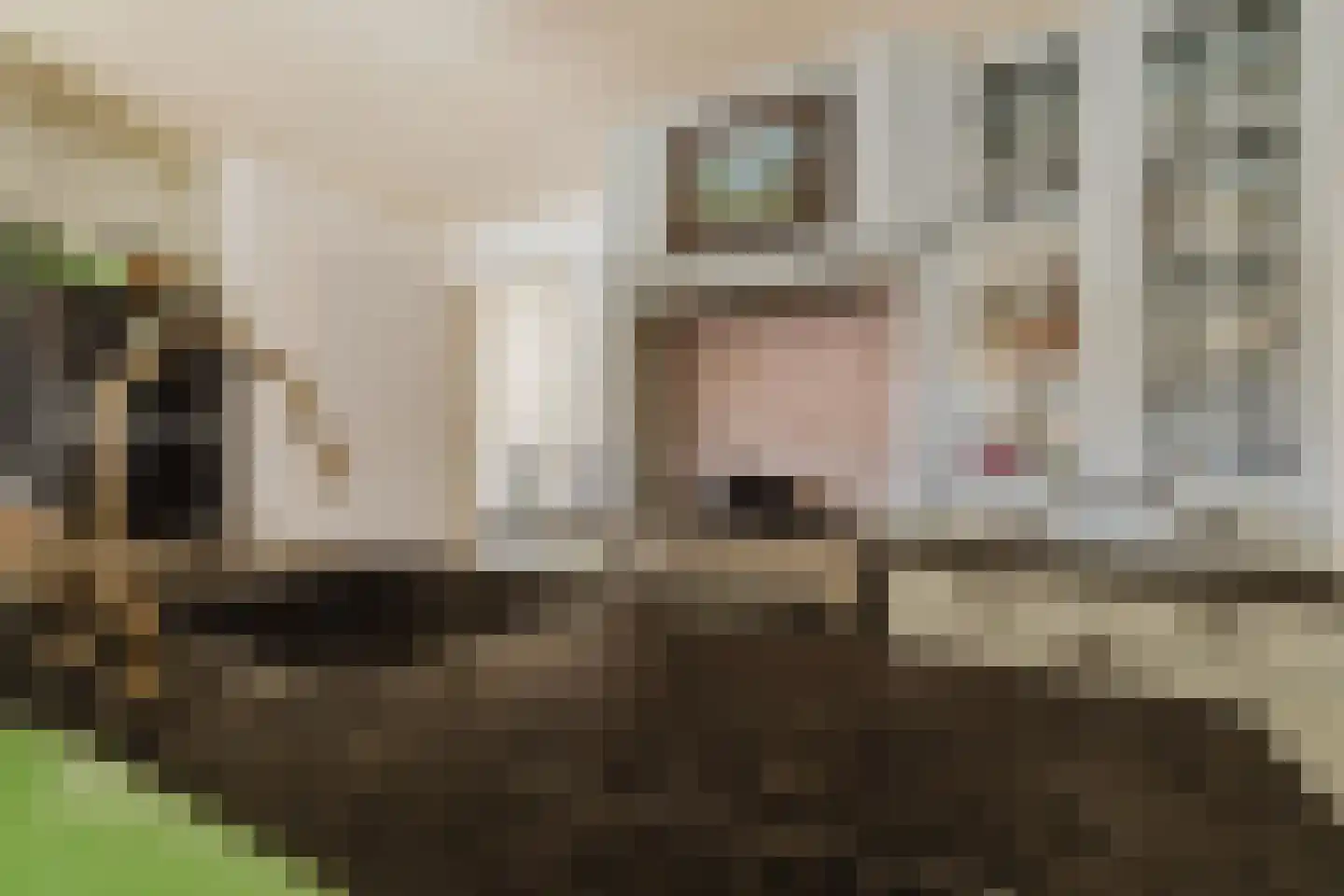 Seterseweg 4 H9 Oosterhout thumbnail 22