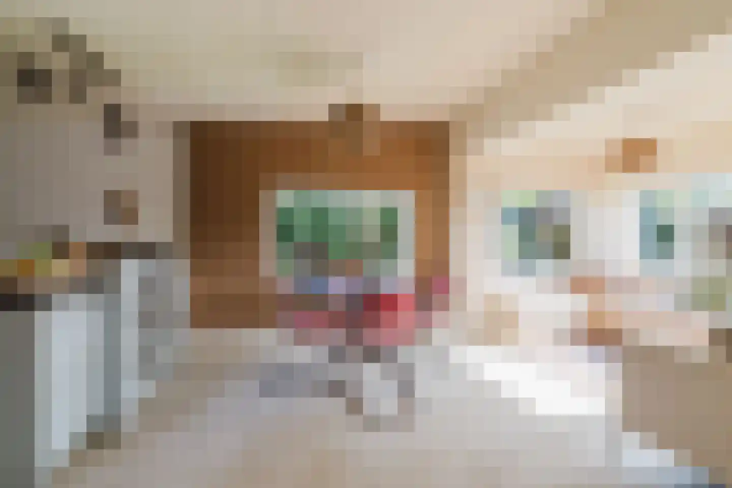 Seterseweg 4 H9 Oosterhout thumbnail 29