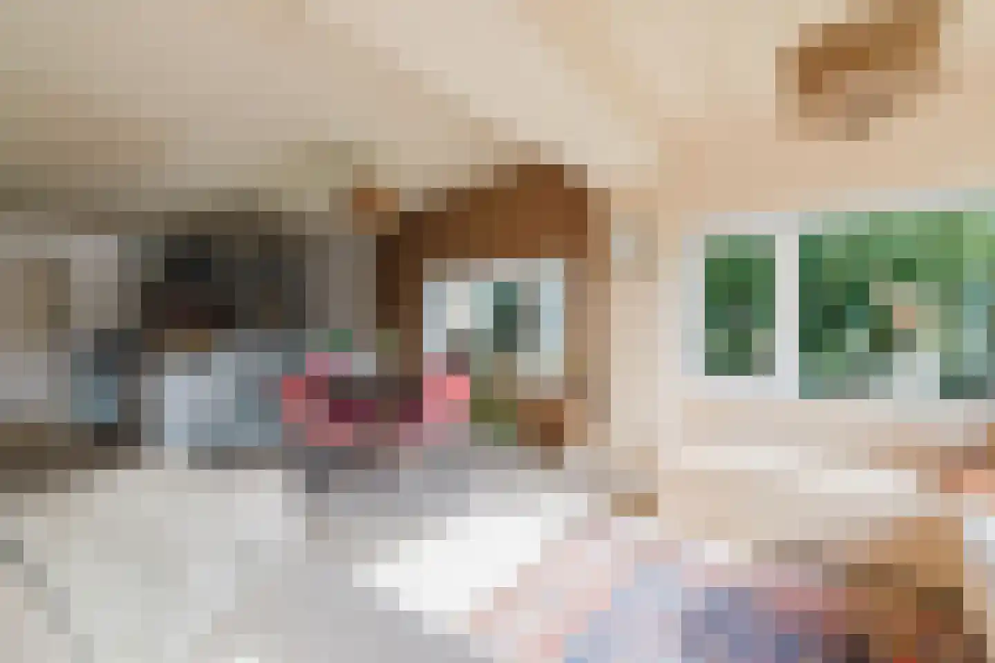 Seterseweg 4 H9 Oosterhout thumbnail 30