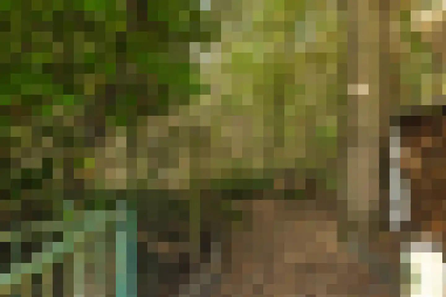 Seterseweg 4 H9 Oosterhout thumbnail 42