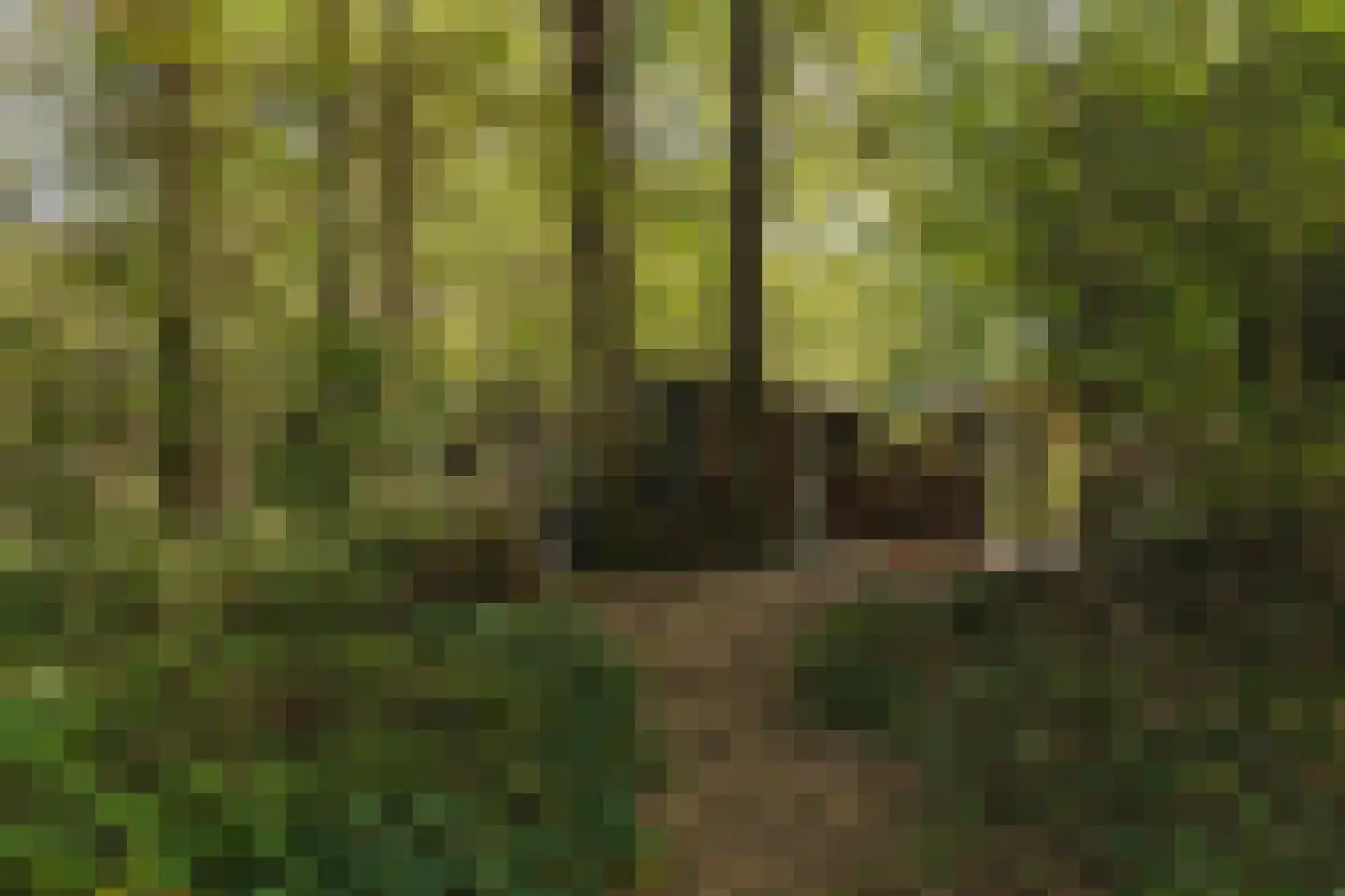 Seterseweg 4 H9 Oosterhout thumbnail 43