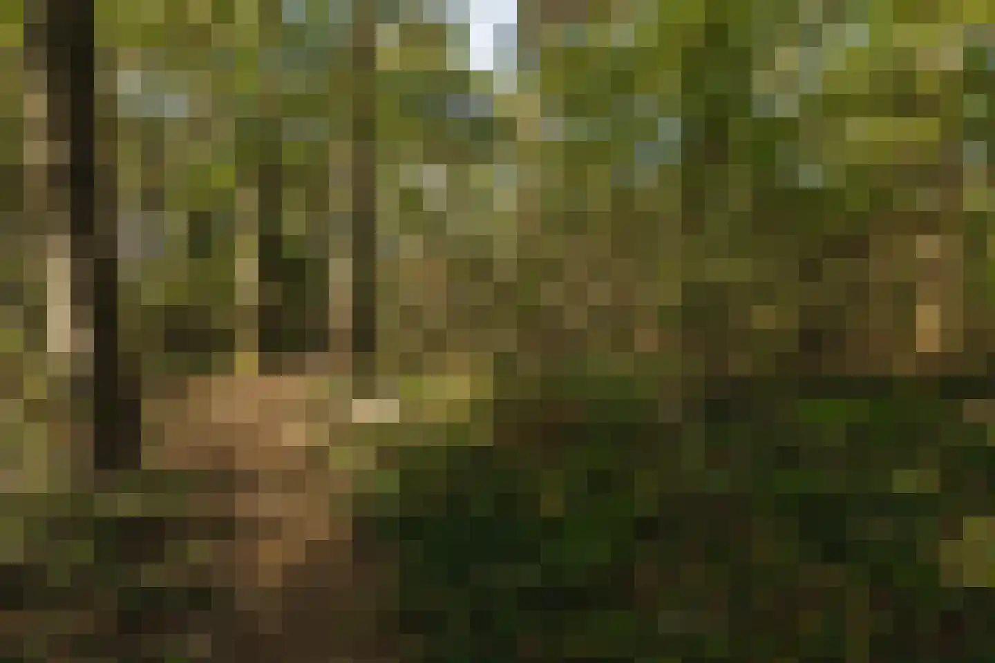 Seterseweg 4 H9 Oosterhout thumbnail 44