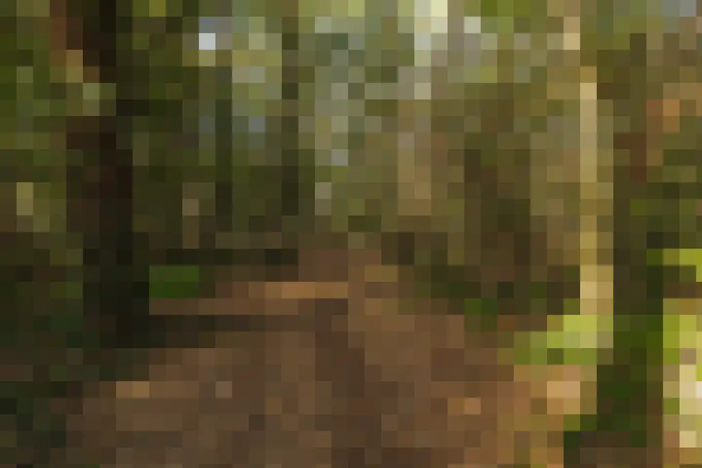 Seterseweg 4 H9 Oosterhout thumbnail 45