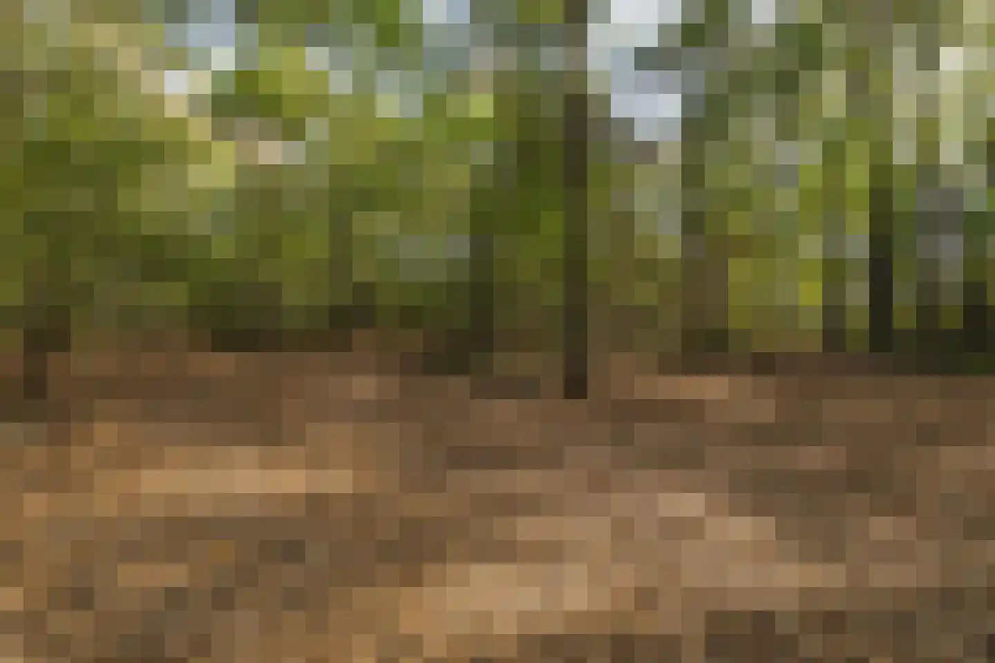 Seterseweg 4 H9 Oosterhout thumbnail 46