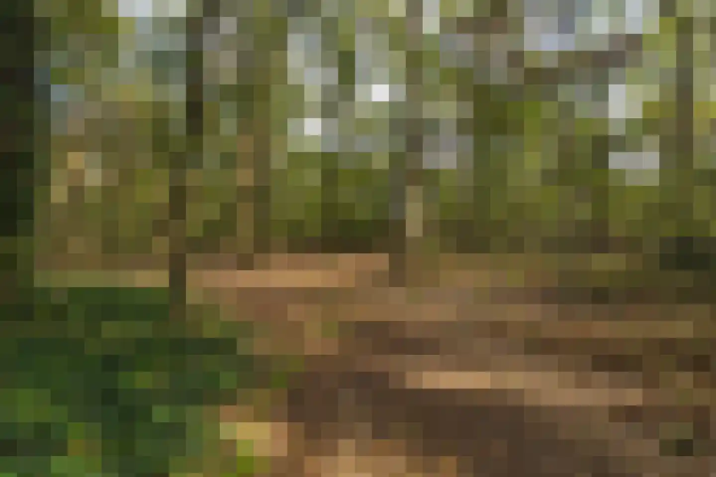 Seterseweg 4 H9 Oosterhout thumbnail 47