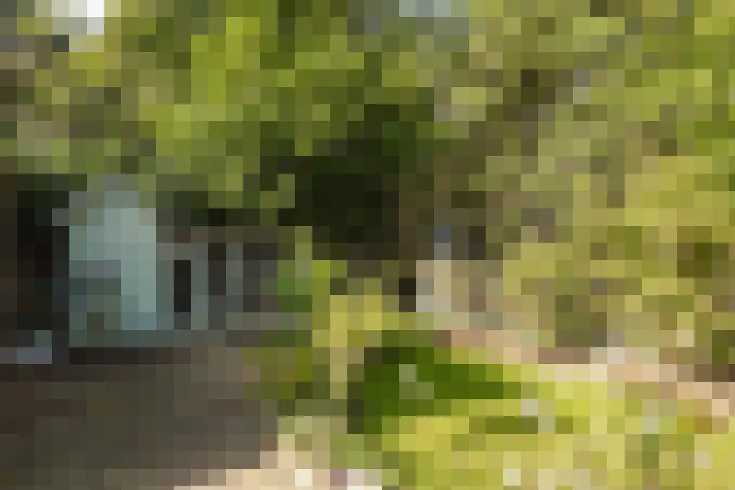 Seterseweg 4 H9 Oosterhout thumbnail 7