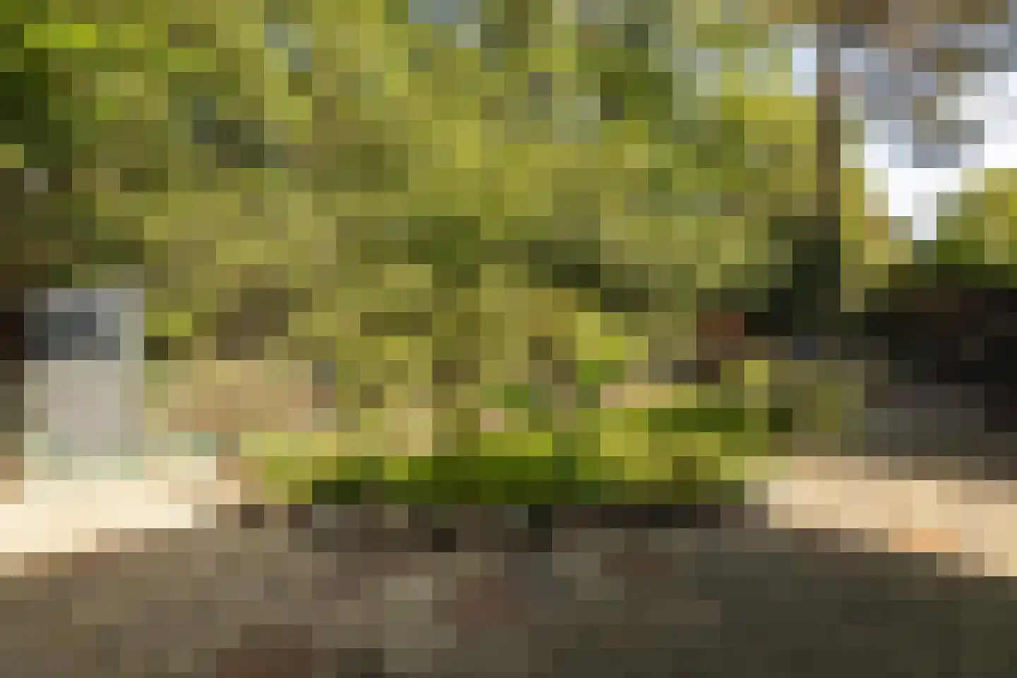 Seterseweg 4 H9 Oosterhout thumbnail 8
