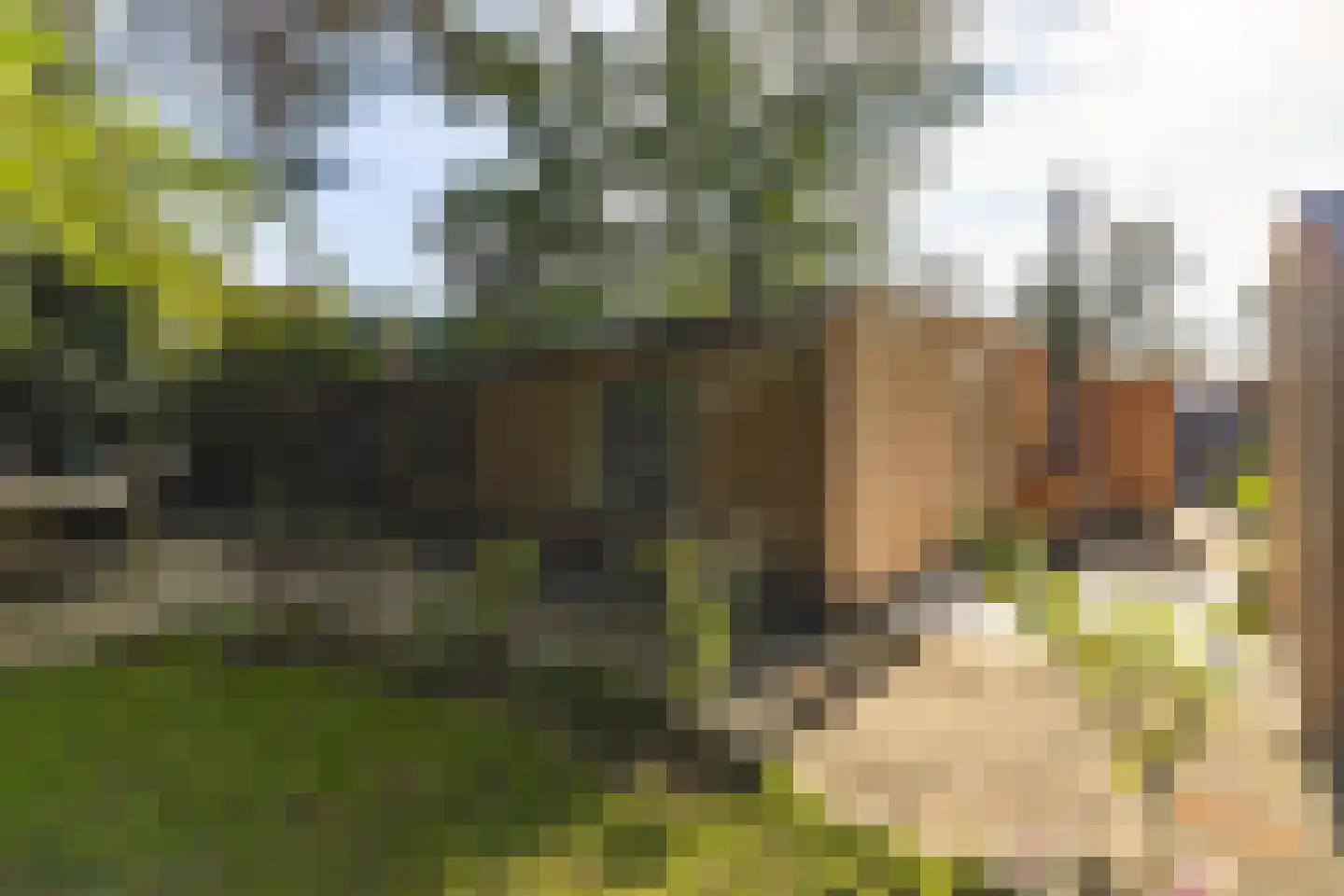 Seterseweg 4 H9 Oosterhout thumbnail 9