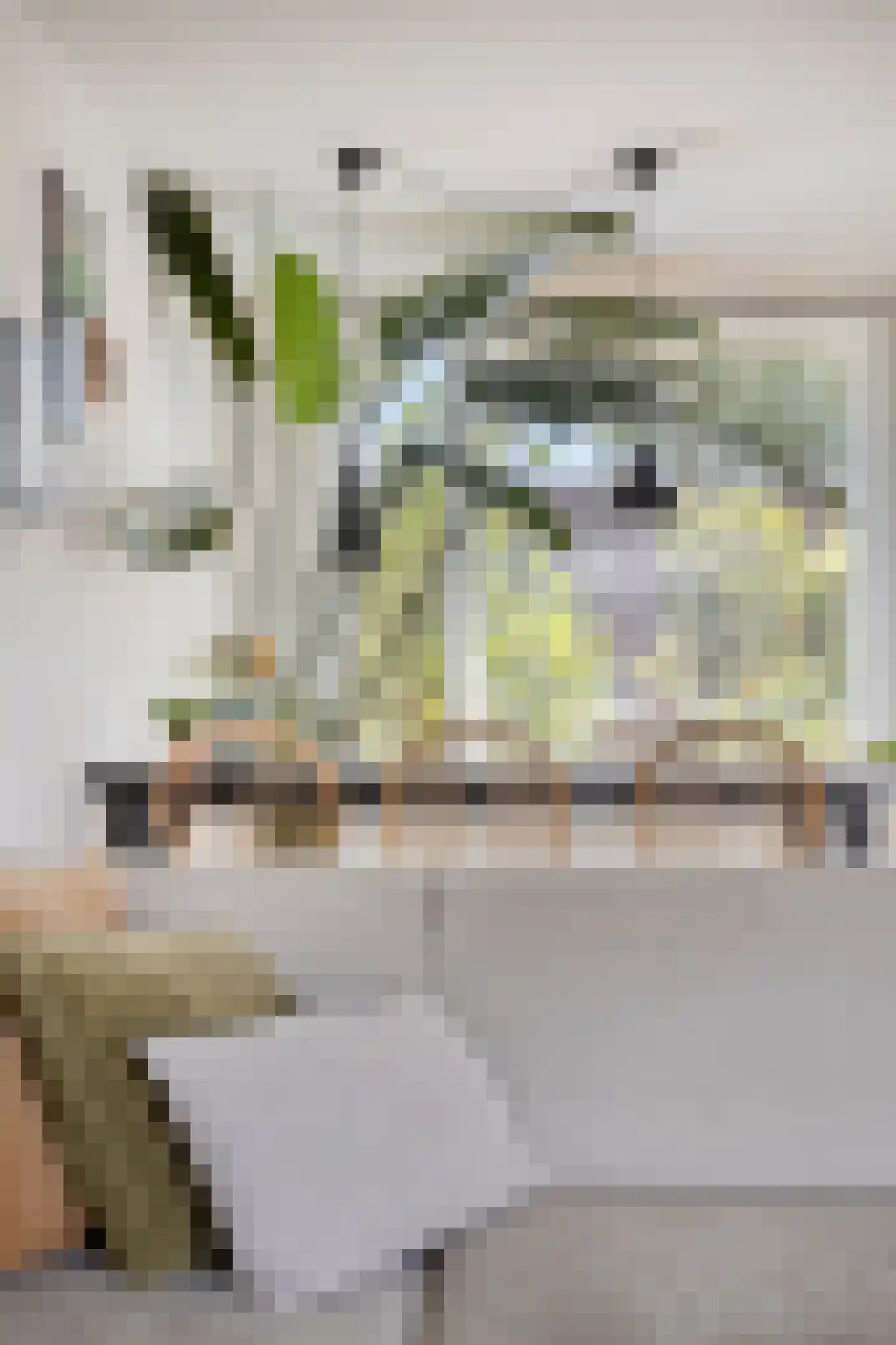 Sevenhoekstraat 42 Tilburg thumbnail 16