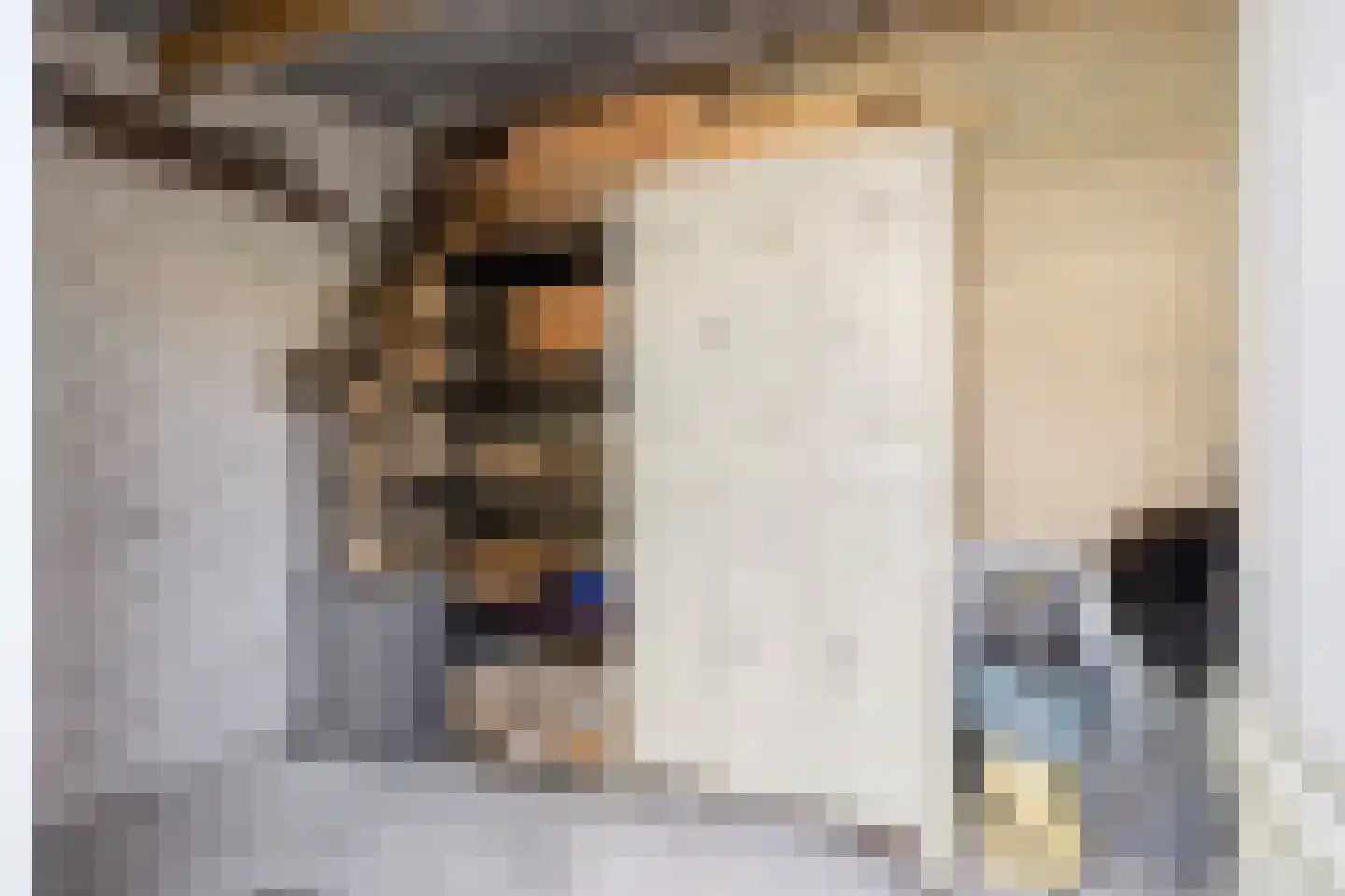 Sevenhoekstraat 42 Tilburg thumbnail 29