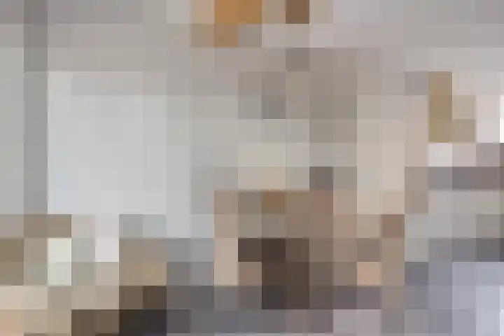 Sevenhovenstraat 14 Lopikerkapel thumbnail 13