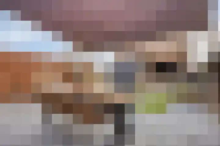 Sevenhovenstraat 14 Lopikerkapel thumbnail 29