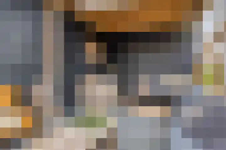 Sevenhovenstraat 14 Lopikerkapel thumbnail 30