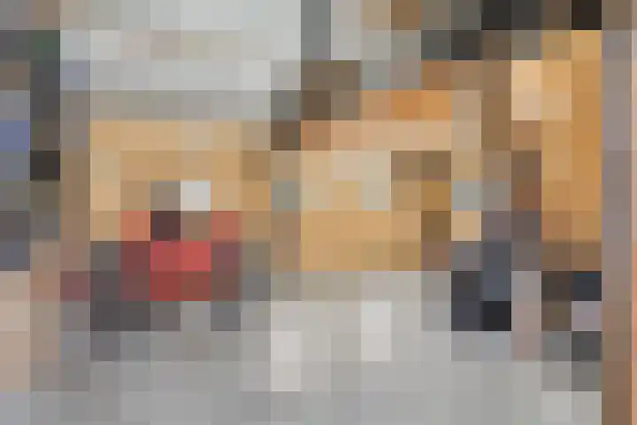 Sevenhovenstraat 14 Lopikerkapel thumbnail 36