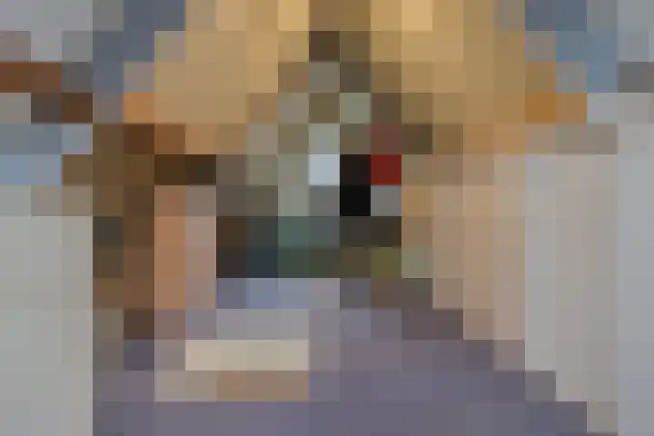 Sevenhovenstraat 18 Lopikerkapel thumbnail 24