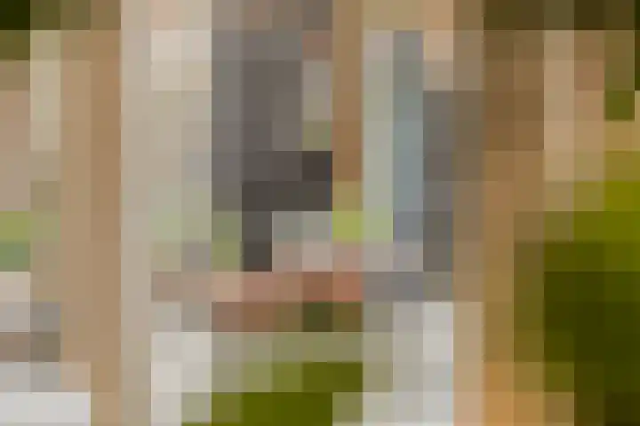 Sevenhovenstraat 18 Lopikerkapel thumbnail 27