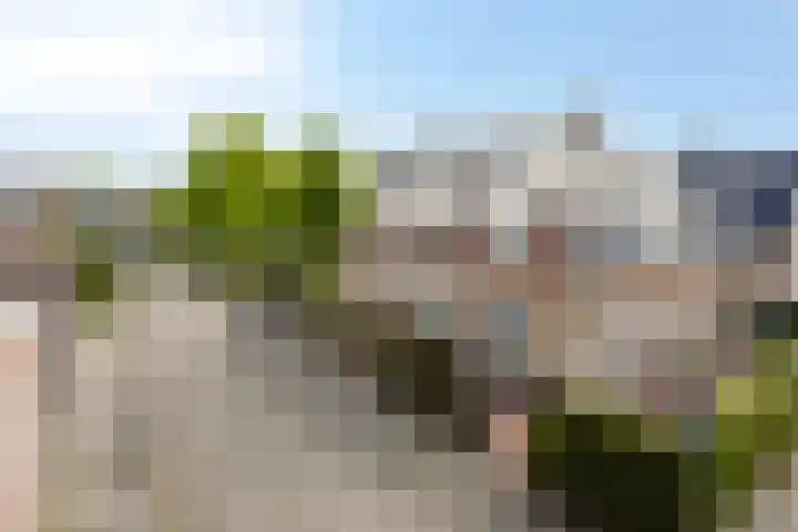 Sevenhovenstraat 18 Lopikerkapel thumbnail 32