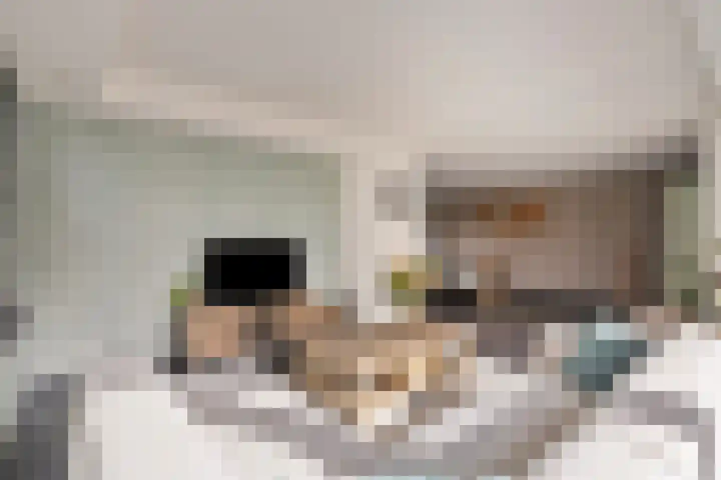 Sevenhovenstraat 31 Lopikerkapel thumbnail 10