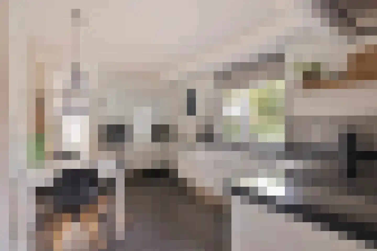 Sevenhovenstraat 31 Lopikerkapel thumbnail 14