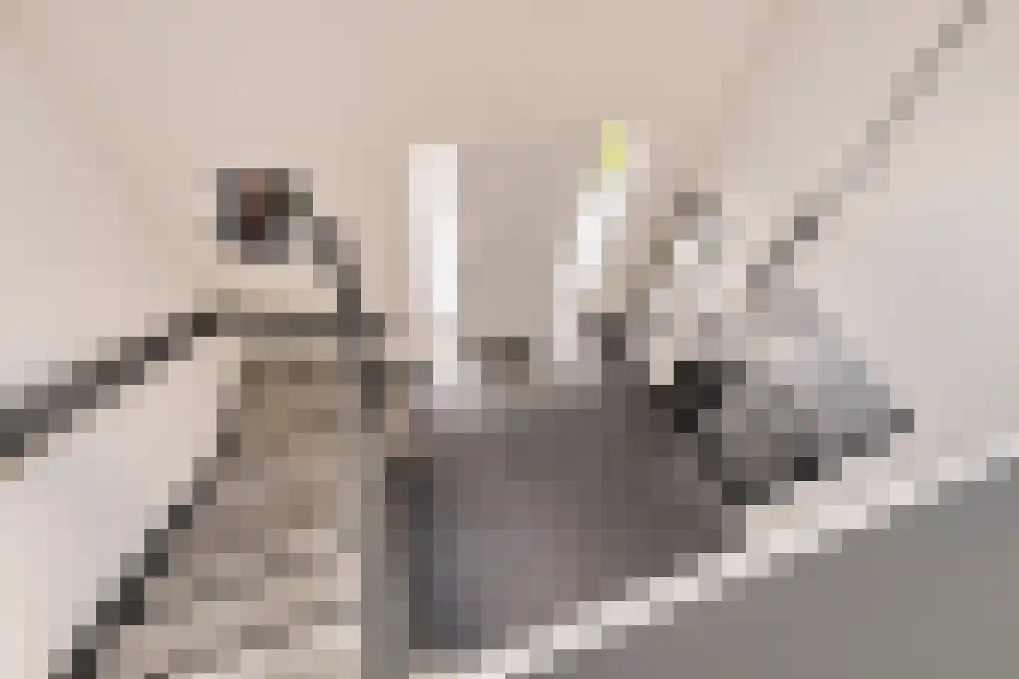 Sevenhovenstraat 31 Lopikerkapel thumbnail 18