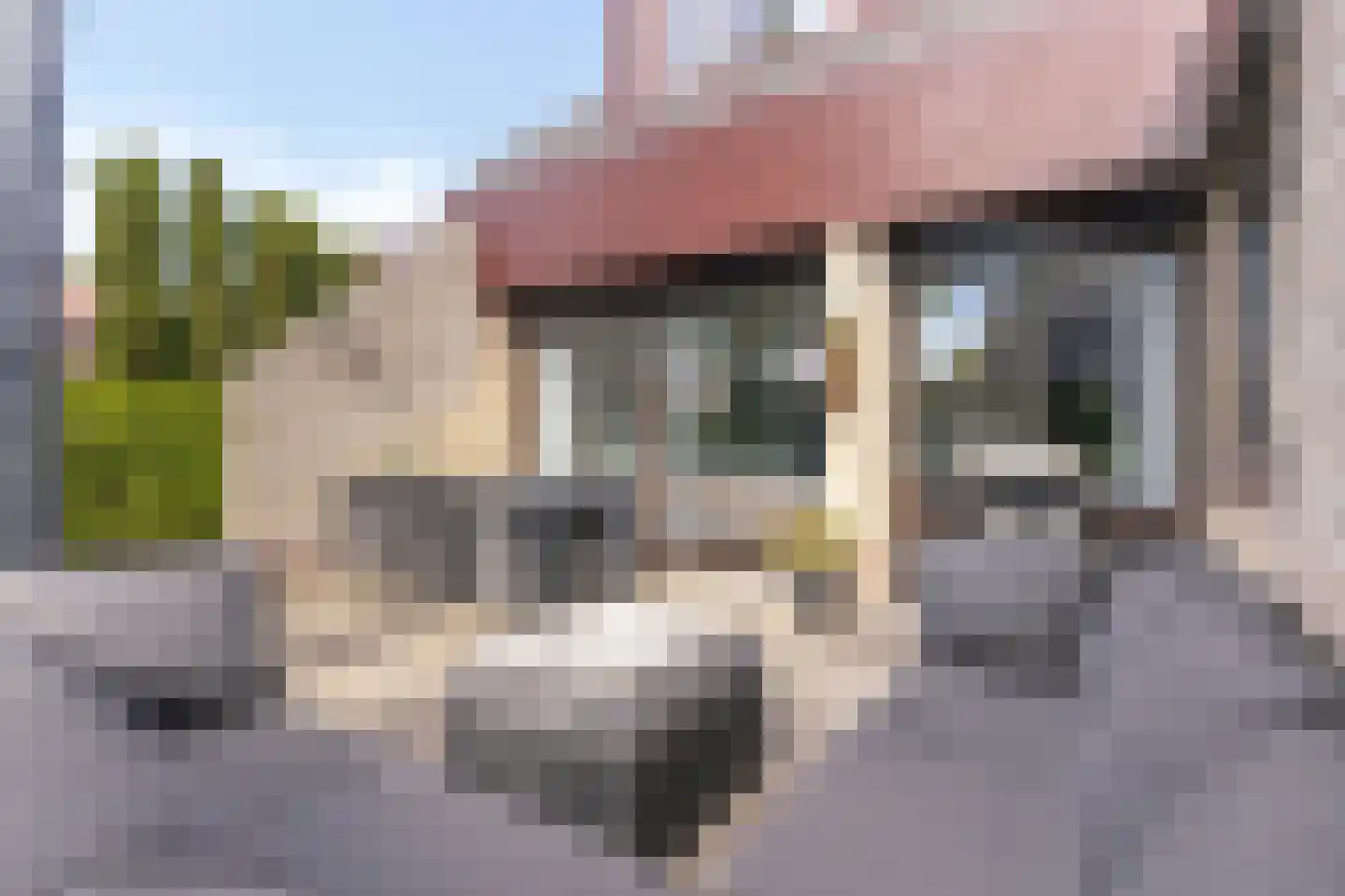 Sevenhovenstraat 31 Lopikerkapel thumbnail 29
