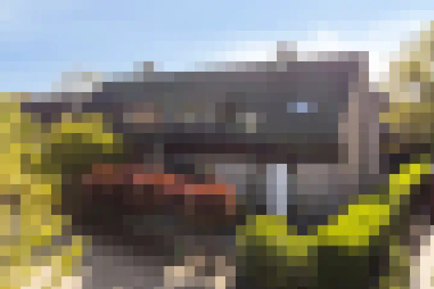 Sevenhovenstraat 31 Lopikerkapel thumbnail 35
