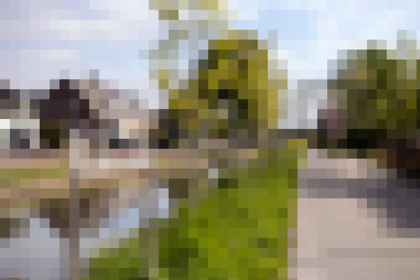 Sevenhovenstraat 31 Lopikerkapel thumbnail 38