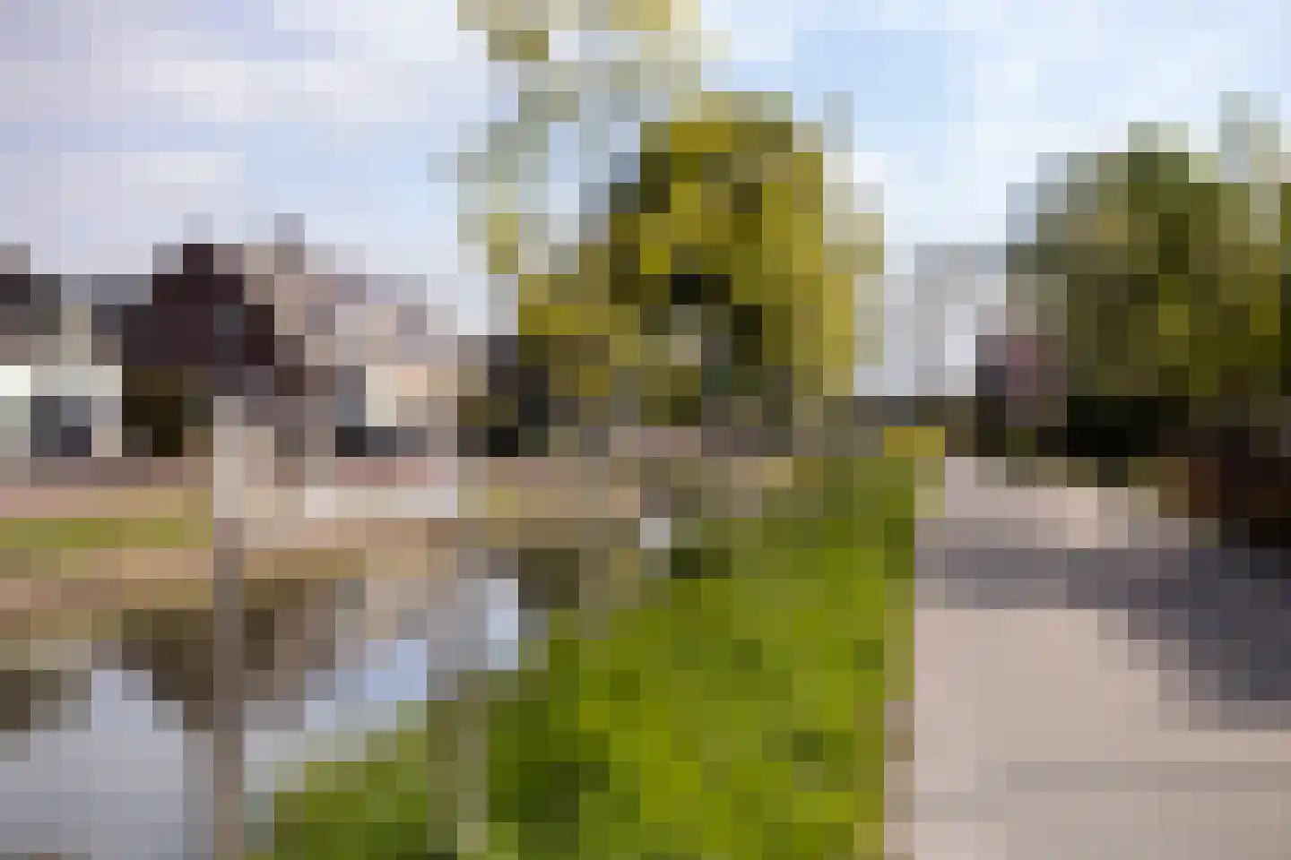 Sevenhovenstraat 31 Lopikerkapel thumbnail 39