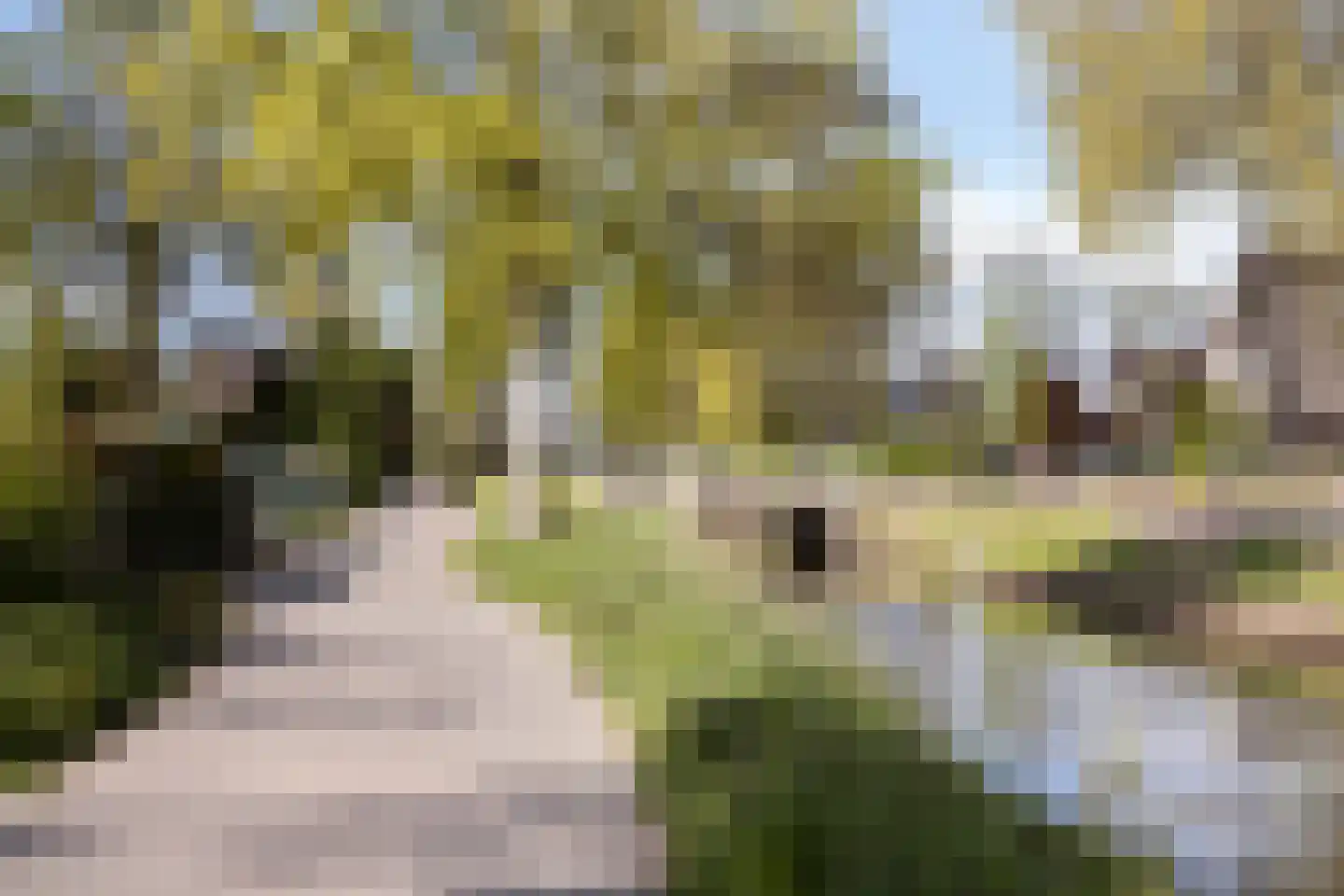 Sevenhovenstraat 31 Lopikerkapel thumbnail 39