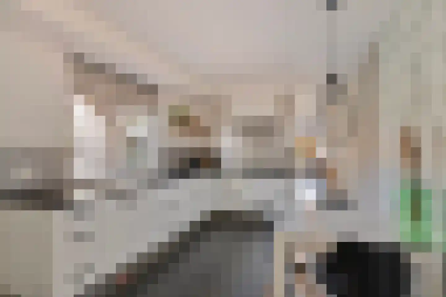 Sevenhovenstraat 31 Lopikerkapel thumbnail 4