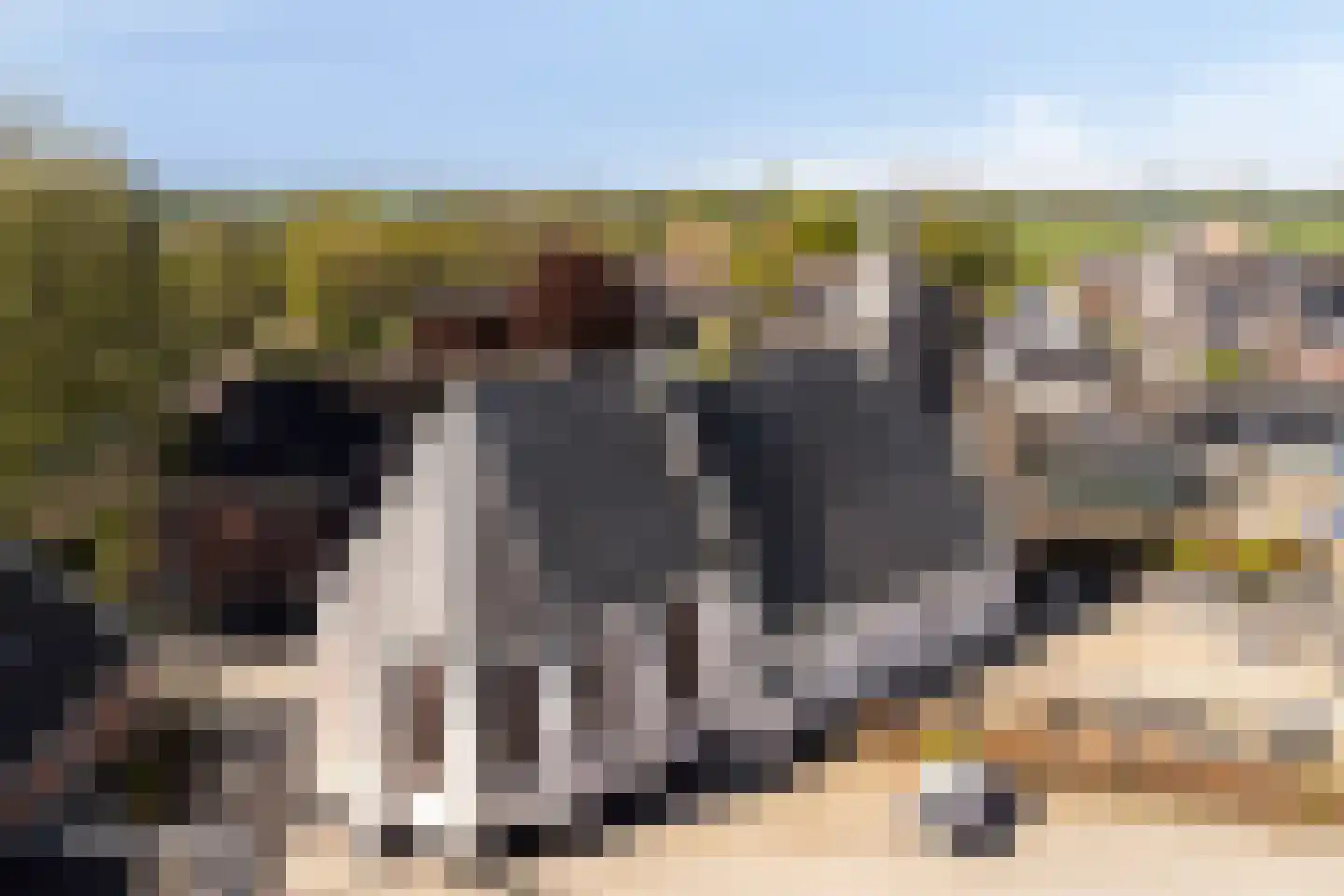 Sevenhovenstraat 31 Lopikerkapel thumbnail 41